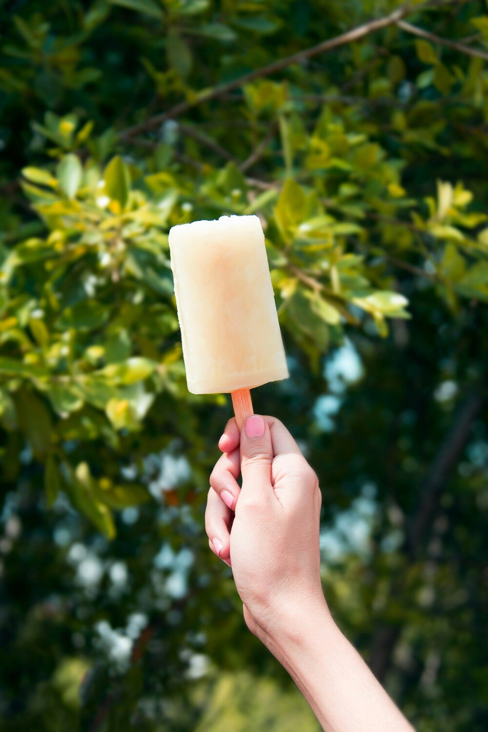 Conquer the Summer Heat: Power Up with Electrolyte Popsicles After Your Run